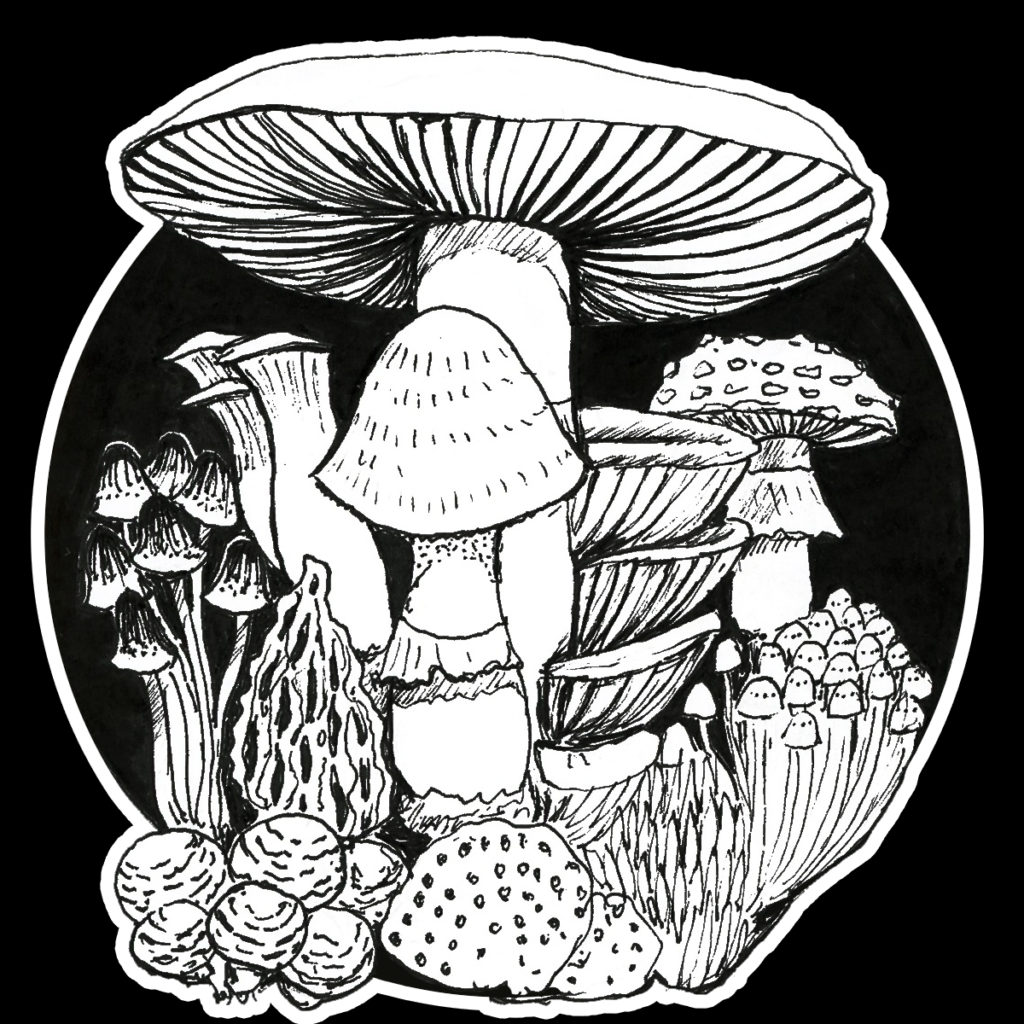 mushroom-sticker